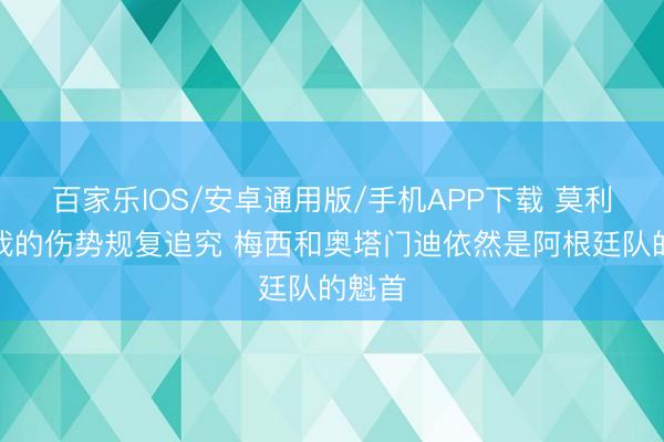 百家樂(lè)IOS/安卓通用版/手機(jī)APP下載 莫利納：我的傷勢(shì)規(guī)復(fù)追究 梅西和奧塔門(mén)迪依然是阿根廷隊(duì)的魁首