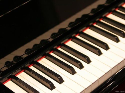 鋼琴調(diào)律師證書有什么用,怎么報名的