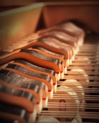 樂器養(yǎng)護之樂器之王——鋼琴
