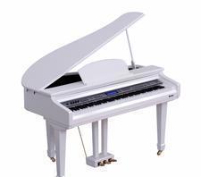 高科利花園專業(yè)運鋼琴 鋼琴運輸包裝一體化物流貨運服務(wù)全解析